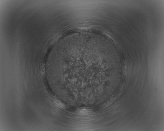 X0000056310467200509021541