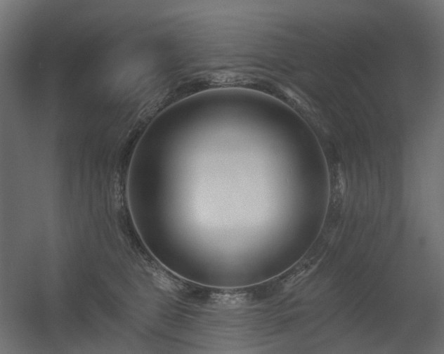 X0000056310469200509021541