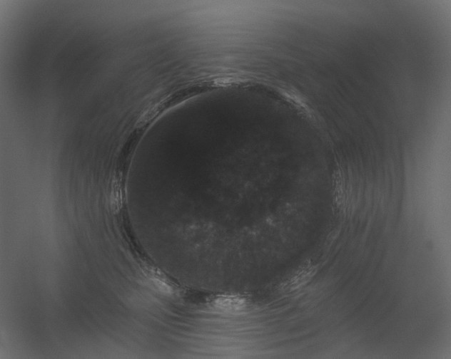 X0000056310471200509021541