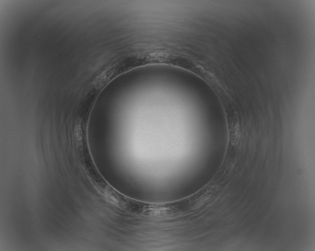 X0000056310472200509021542