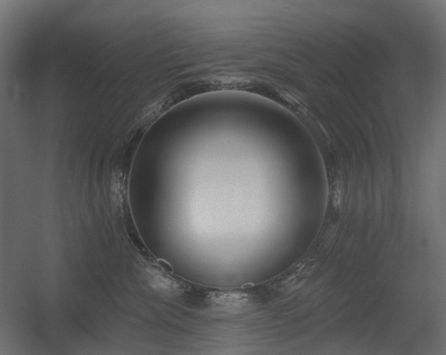 X0000056310476200509021542