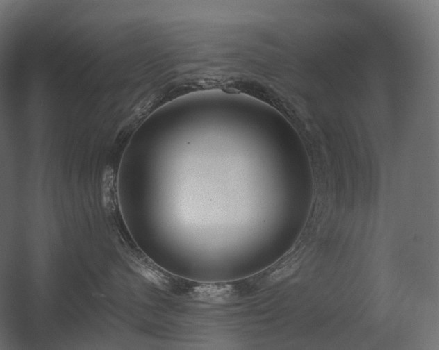 X0000056310480200509021542