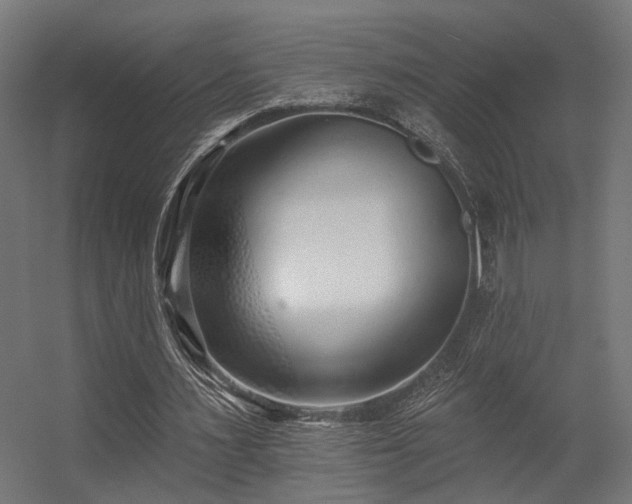 X0000056310483200509021541