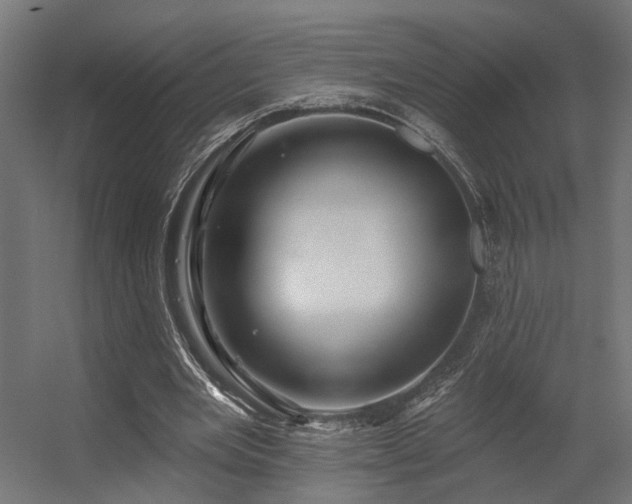 X0000056310485200509021541