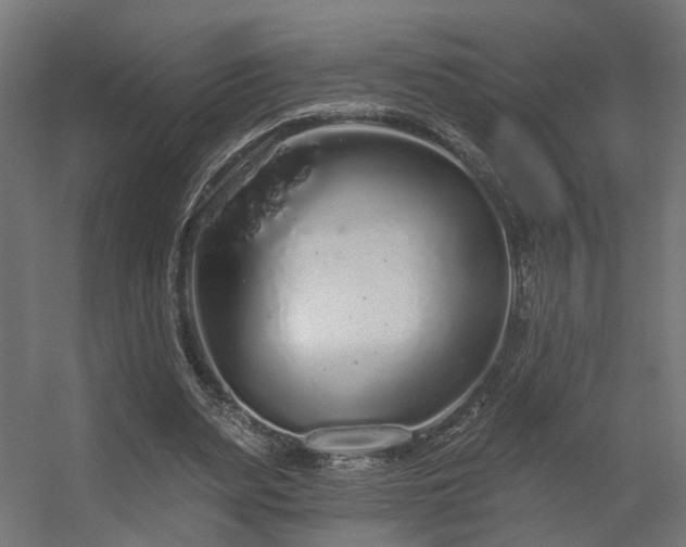 X0000056310487200509021541