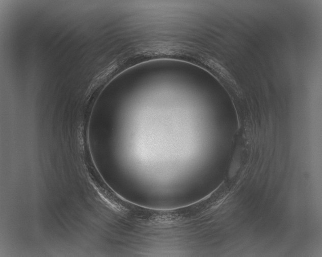 X0000056310489200509021541