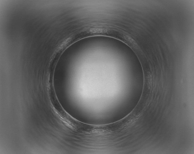 X0000056310490200509021541