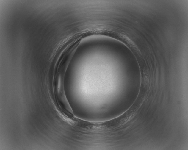 X0000056310493200509021541