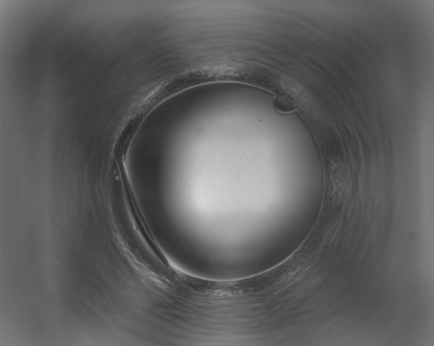 X0000056310494200509021541