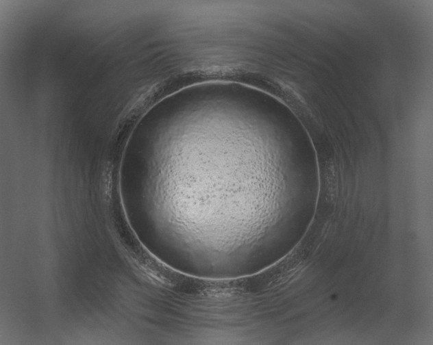 X0000056310495200509021541