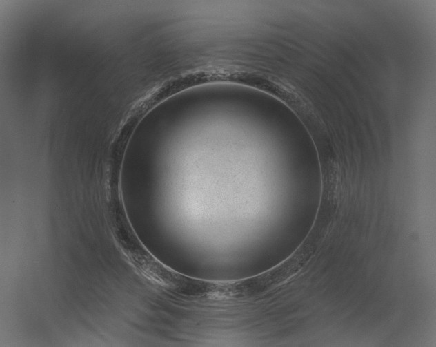 X0000056310496200509021541
