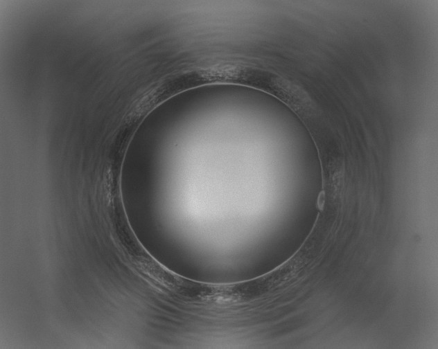 X0000056310498200509021541