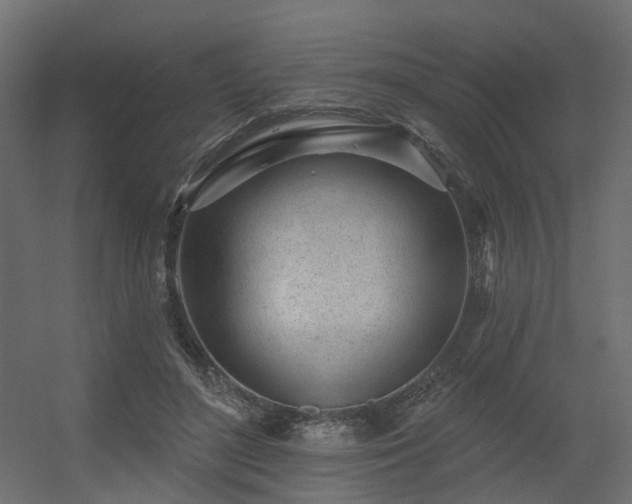 X0000056310500200509021541