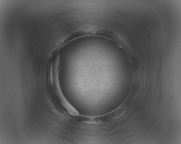 X0000056310504200509021540