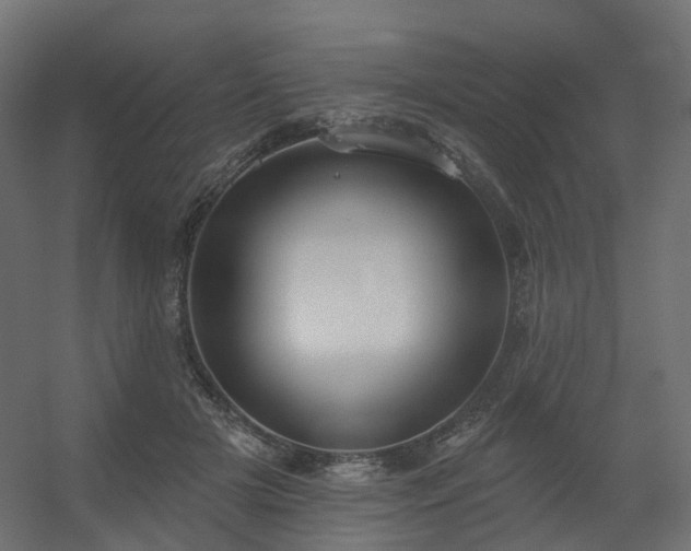 X0000056310505200509021540