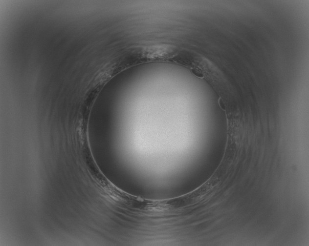 X0000056310510200509021540