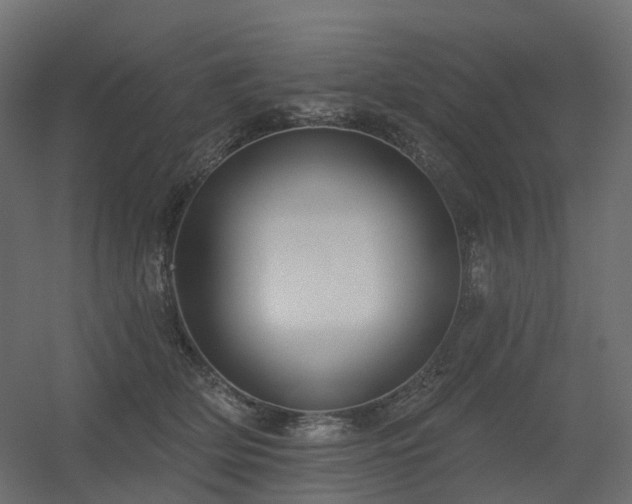 X0000056310514200509021540