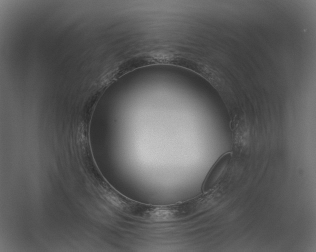 X0000056310518200509021540