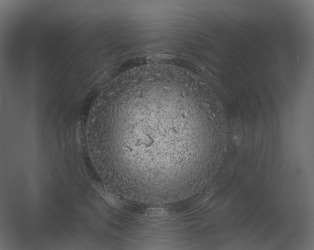 X0000056310519200509021540