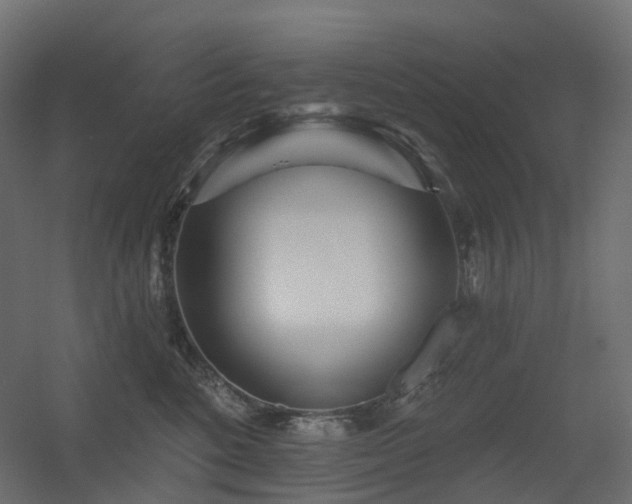 X0000056310520200509021540