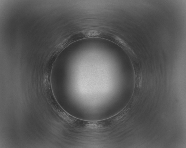 X0000056310521200509021540