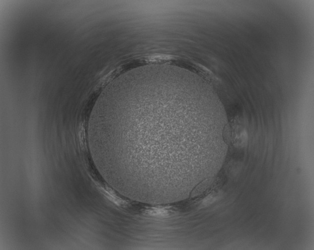 X0000056310523200509021540
