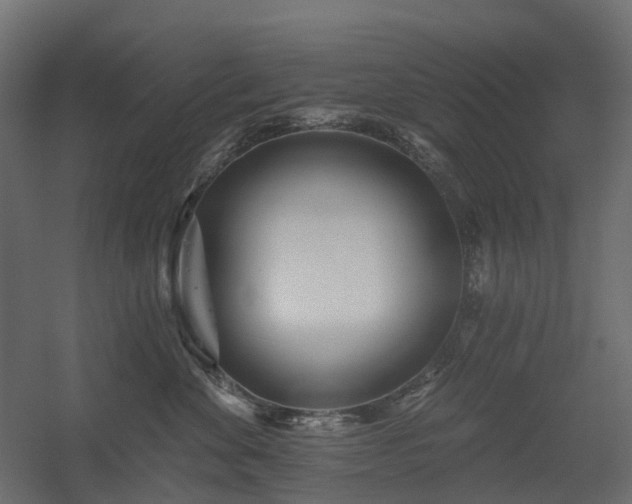 X0000056310524200509021540