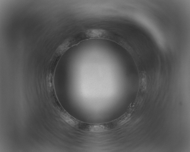X0000056310525200509021540