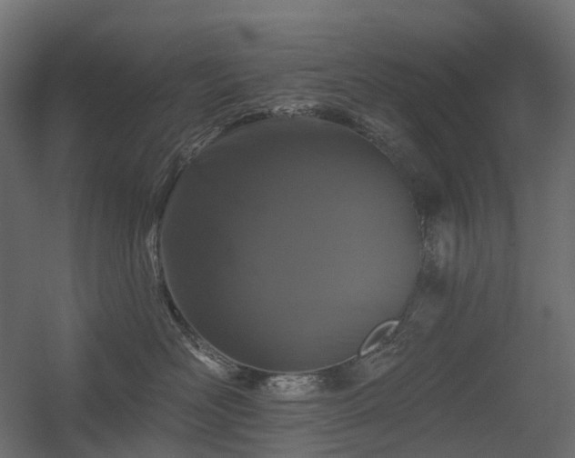 X0000056310526200509021540
