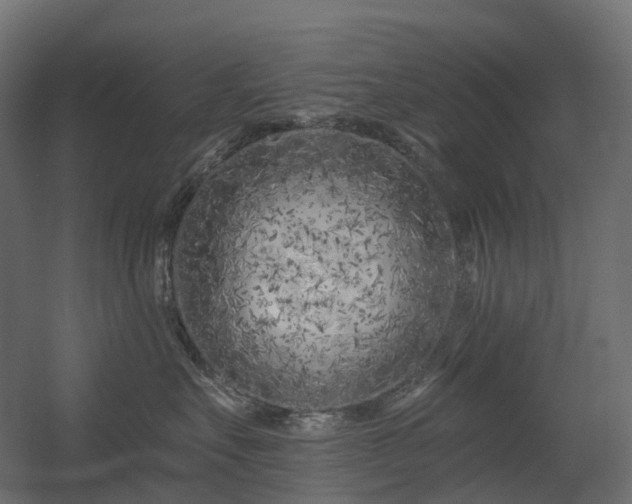 X0000056310527200509021540