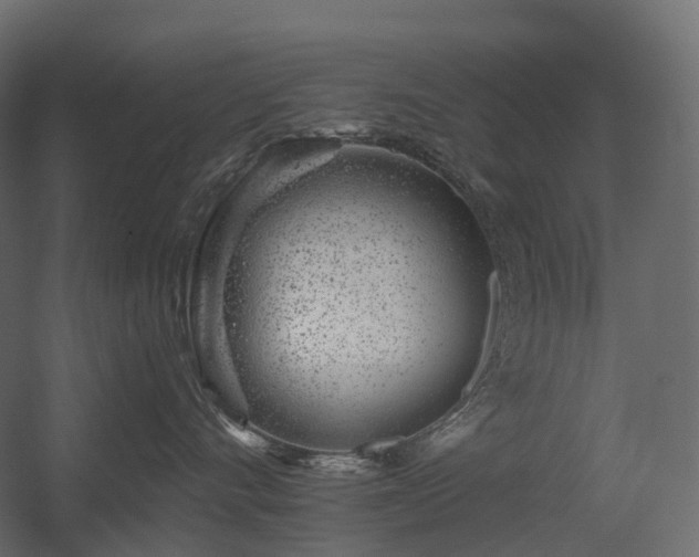 X0000056310528200509021540