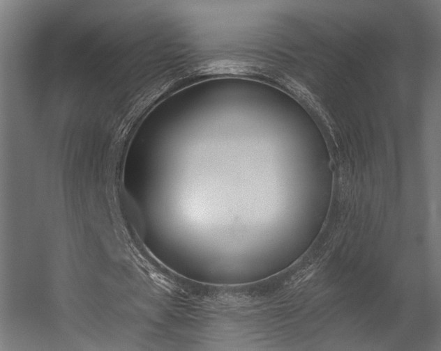 X0000056310529200509021539