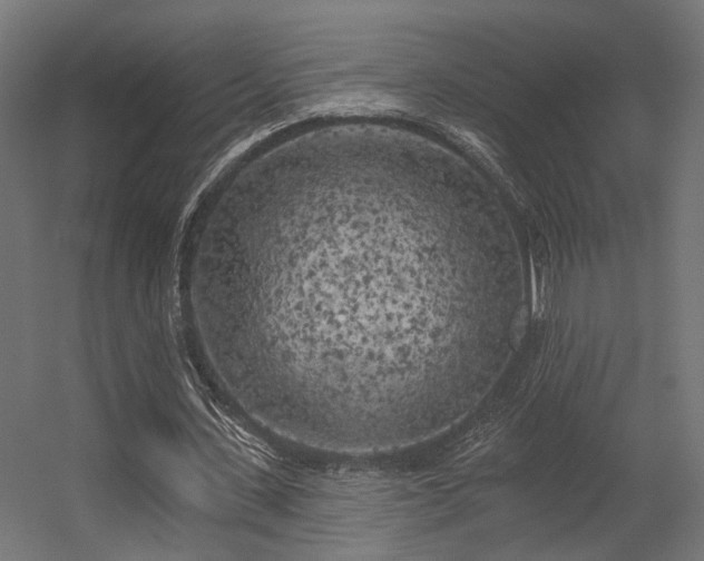 X0000056310531200509021539