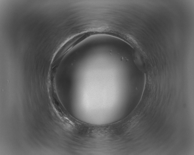 X0000056310532200509021539