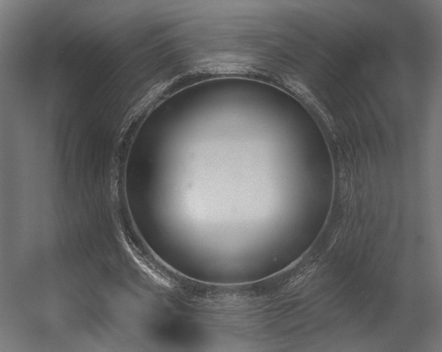 X0000056310533200509021539