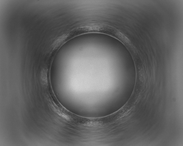 X0000056310537200509021539