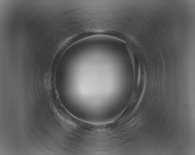 X0000056310540200509021539