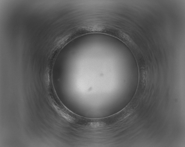 X0000056310541200509021539