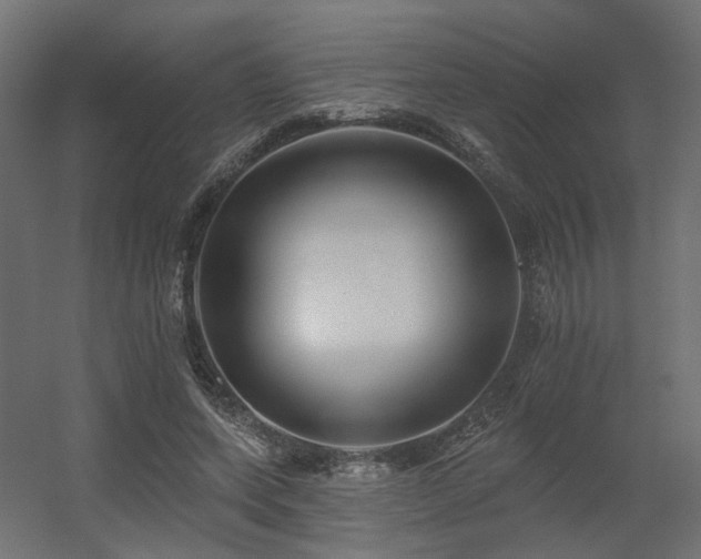 X0000056310543200509021539