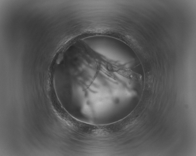 X0000056310544200509021539