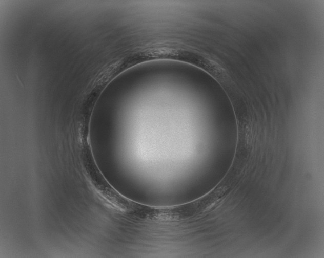 X0000056310546200509021540