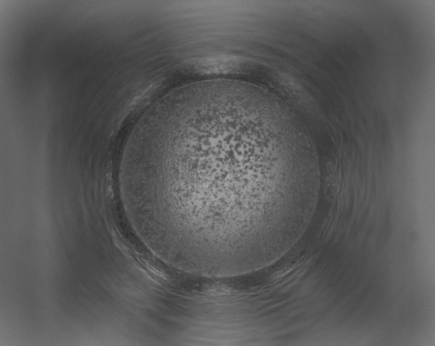 X0000056310547200509021540