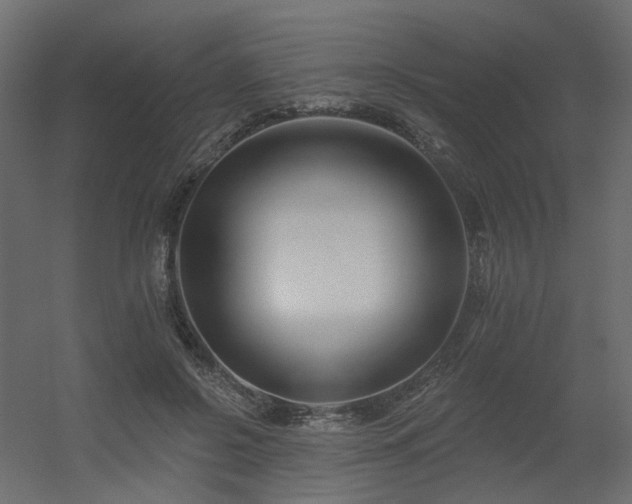 X0000056310550200509021540