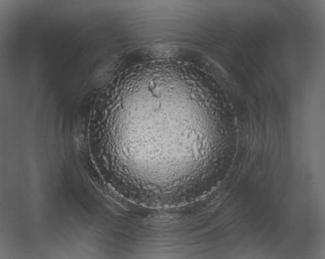 X0000056310553200509021540