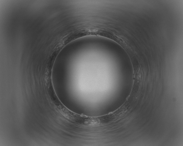 X0000056310559200509021540