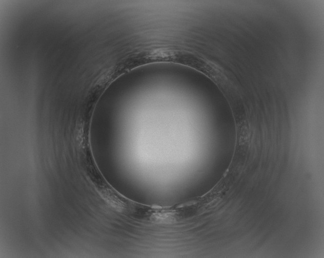 X0000056310560200509021540