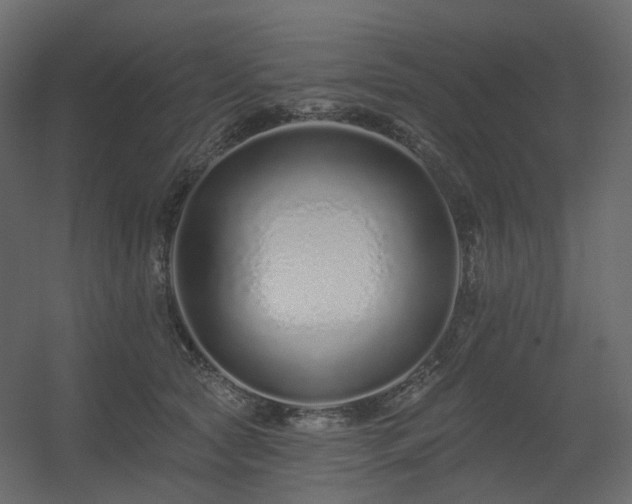X0000056310561200509021540