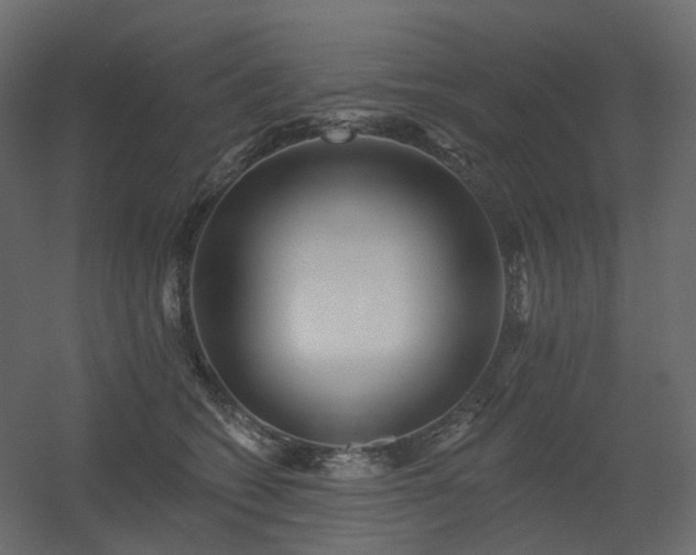 X0000056310562200509021540