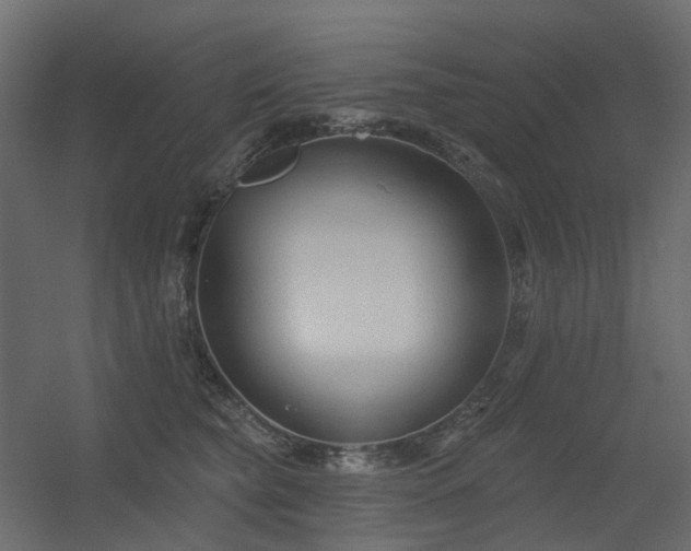 X0000056310565200509021540