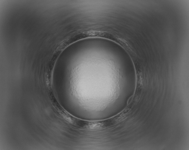 X0000056310569200509021540